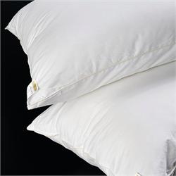 Pillow 50x70 FIBER SILICONIZED DREAM