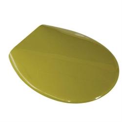 Plastic toilet seat green