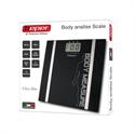 Electronic Scale with body fat calculation